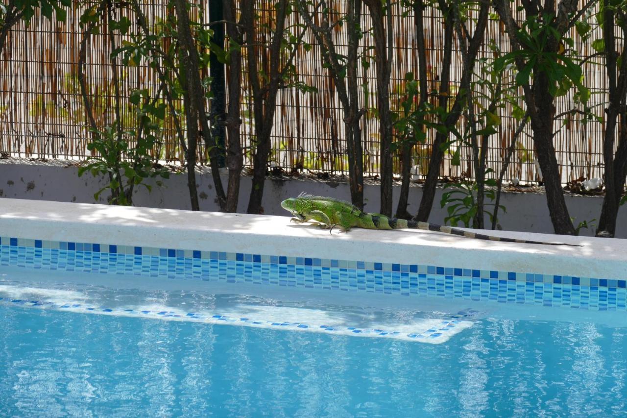 Villa De Mango Fontein Exterior photo